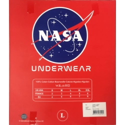 NASA koszulka męska t-shirt dekolt V Basic Worm niebieska