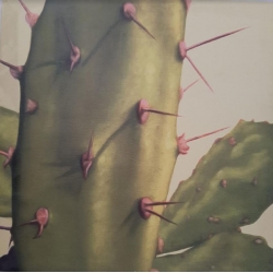 Obraz "Kaktus"